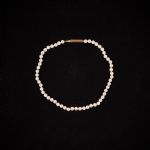 515579 Pearl necklace